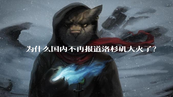 为什么国内不再报道洛杉矶大火了？