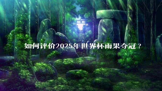 如何评价2025年世界杯雨果夺冠?