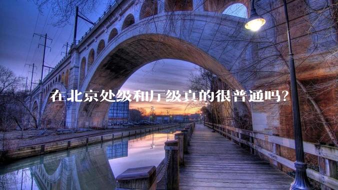 在北京处级和厅级真的很普通吗？
