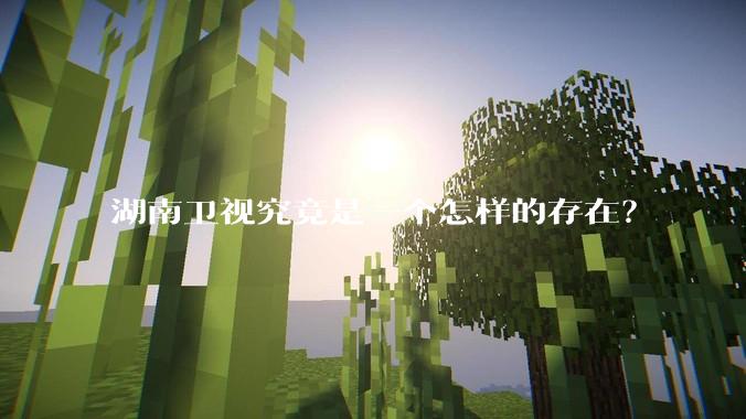 湖南卫视究竟是一个怎样的存在？